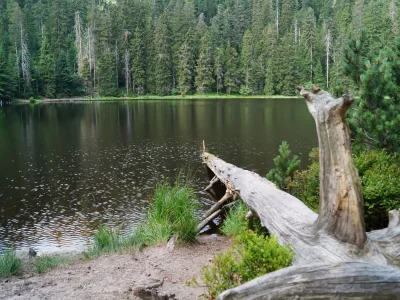 Holiday house House Tannenblick - Environment photo 21