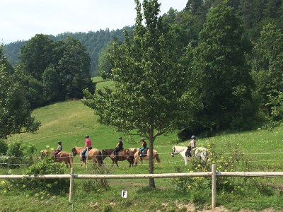 Holiday apartment Alpenliebe - Environment photo 33