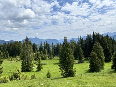 Holiday apartment Alpenliebe - Environment photo 36