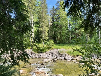 Holiday apartment Alpenliebe - Environment photo 40