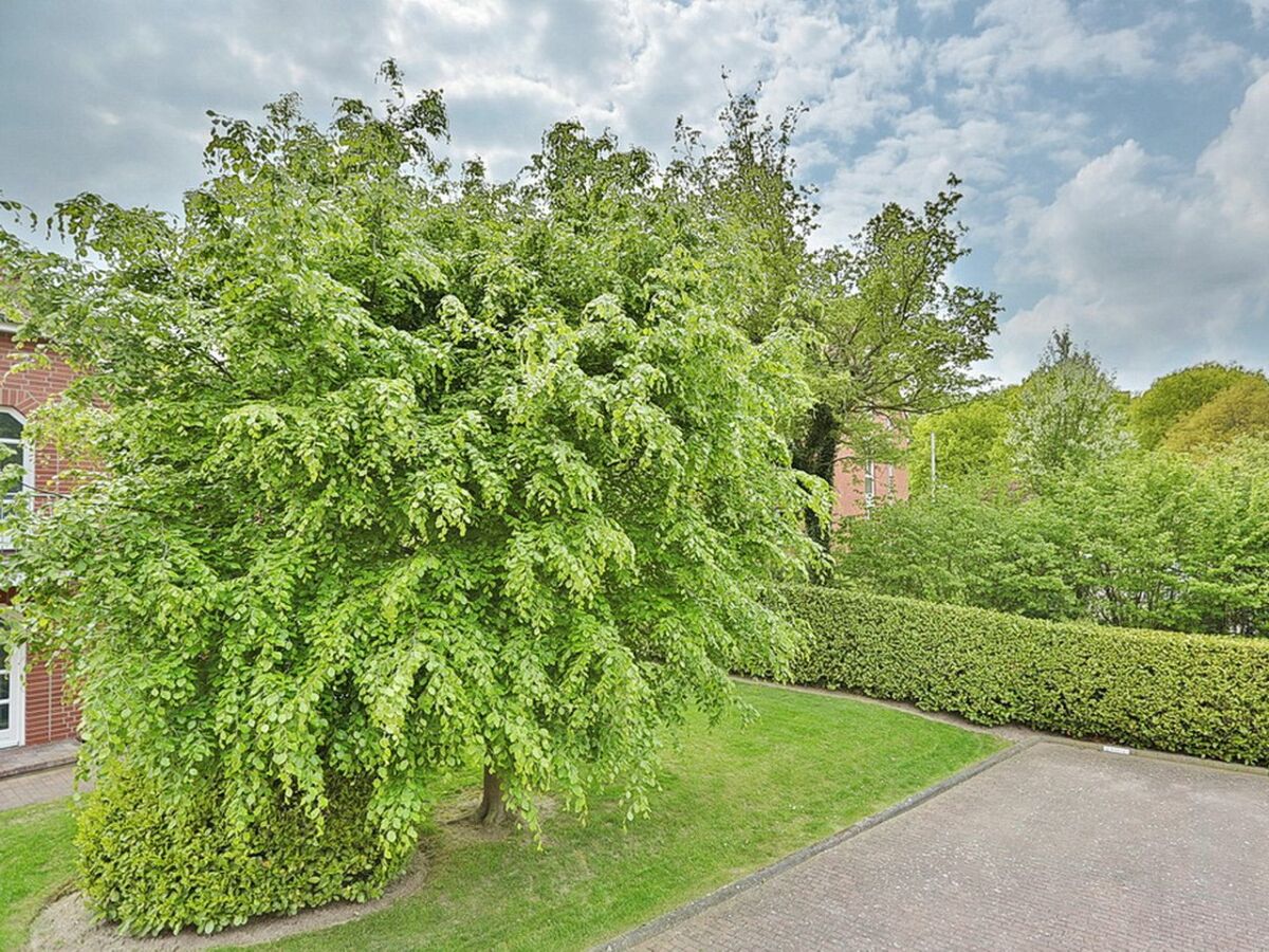 Holiday apartment Am Rosenhain 23 Appartement 5 - Outdoor photo 5