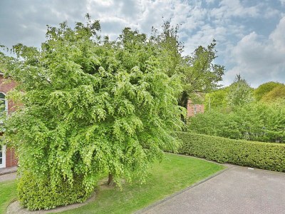 Holiday apartment Am Rosenhain 23 Appartement 5 - Outdoor photo 5