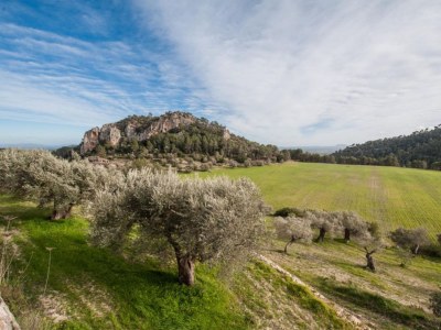 Villa Can Bessó mancor de la Vall - Environment photo 47