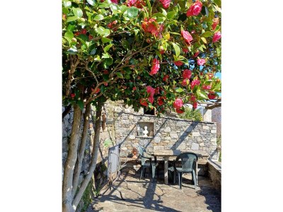 Holiday house Lake House - Outdoor photo 22