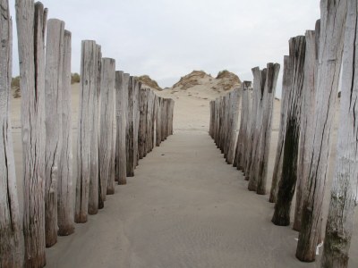 Holiday apartment Stoutjesdijk 3 - Environment photo 26