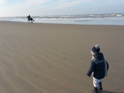 Holiday house Doornvogels - Environment photo 14