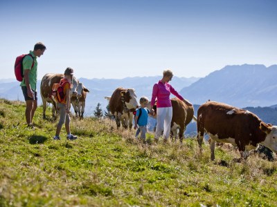 Chalet Chaletwohnung - Environment photo 22