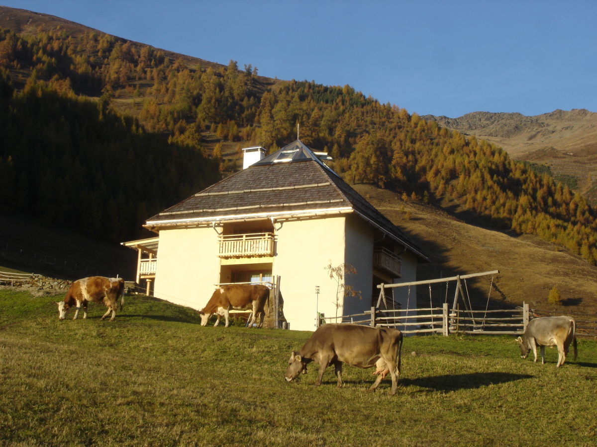 Holiday apartment Straw house - farm holiday - Outdoor photo 2