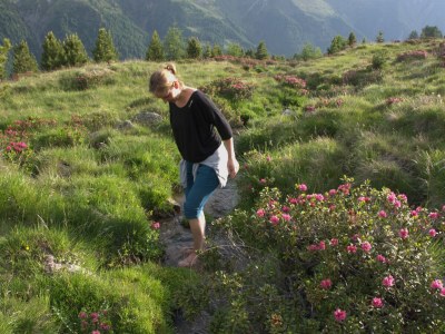 Holiday apartment Straw house - farm holiday - Outdoor photo 6