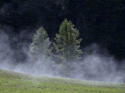 Holiday apartment Straw house - farm holiday - Outdoor photo 15