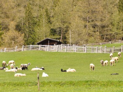 Holiday apartment Straw house - farm holiday - Outdoor photo 16