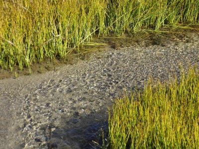 Holiday apartment Straw house - farm holiday - Outdoor photo 19