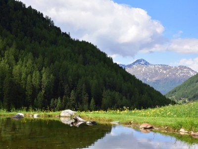 Holiday apartment Straw house - farm holiday - Features photo 25