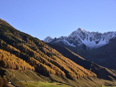 Holiday apartment Straw house - farm holiday - Features photo 26