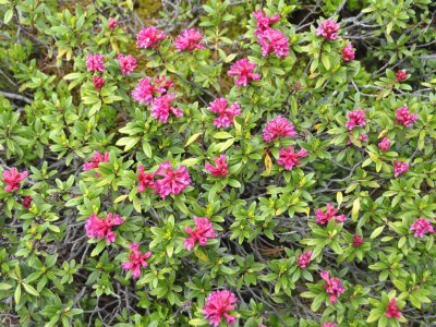 Holiday apartment Straw house - farm holiday - Environment photo 29