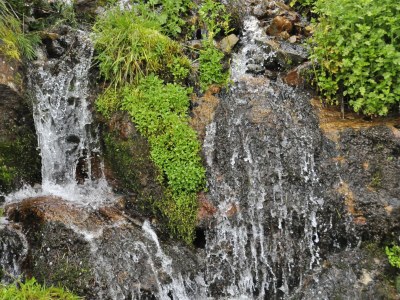 Holiday apartment Straw house - farm holiday - Environment photo 30