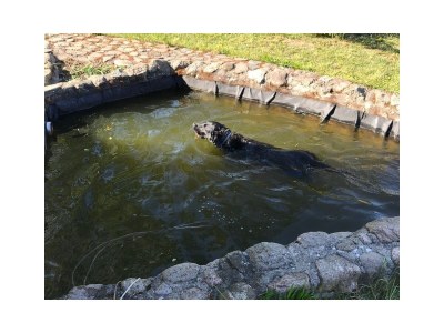 Holiday apartment Adele - Outdoor photo 8