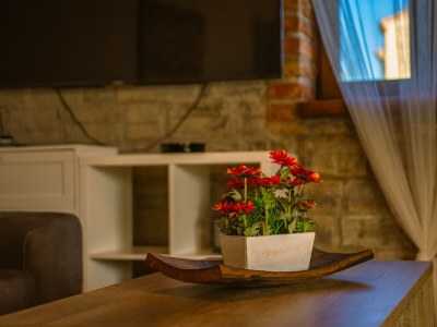 Villa Amelie - Features photo 9