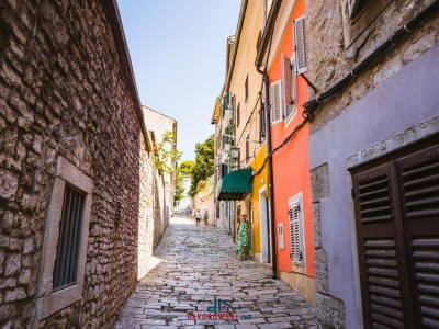 Holiday house Noelene - Environment photo 26