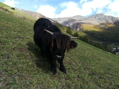 Holiday apartment Guest House Leithof - Environment photo 15