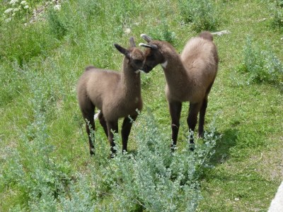 Holiday apartment Guest House Leithof - Environment photo 16