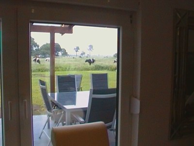 Holiday house Kudensee - Environment photo 31