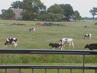 Holiday house Kudensee - Environment photo 32