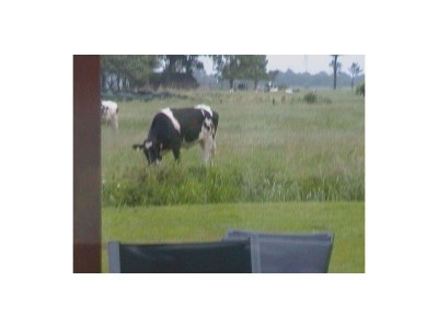 Holiday house Kudensee - Environment photo 33