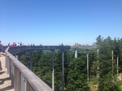 Holiday house Ferienhaus in Rinchnach am Arbersee - Environment photo 20