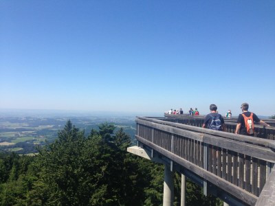 Holiday house Ferienhaus in Rinchnach am Arbersee - Environment photo 24