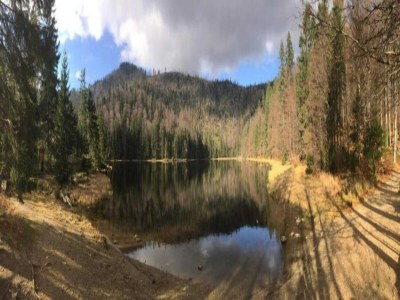 Holiday house Ferienhaus in Rinchnach am Arbersee - Environment photo 31