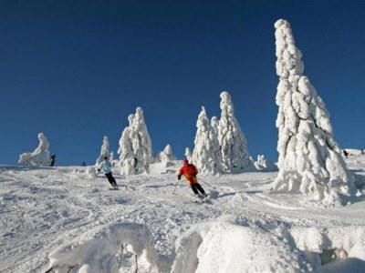 Holiday house Ferienhaus in Rinchnach am Arbersee - Environment photo 33