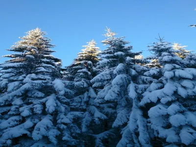 Chalet Chalet in Liézey mit Blick auf die Landschaft - Outdoor photo 14