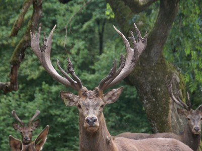 Chalet Chalet in Liézey mit Blick auf die Landschaft - Environment photo 28