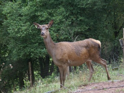 Chalet Chalet in Liézey mit Blick auf die Landschaft - Environment photo 31