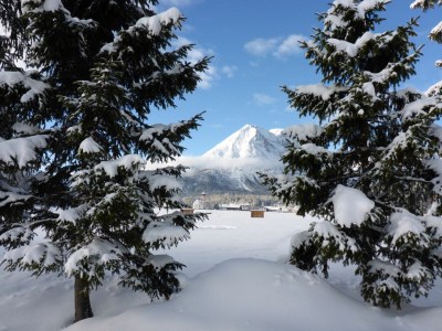 Holiday apartment Haus Bergkranz - Outdoor photo 9