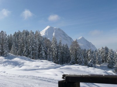 Holiday apartment Haus Bergkranz - Outdoor photo 11