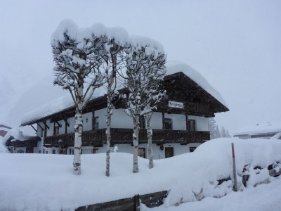 Holiday apartment Haus Bergkranz - Outdoor photo 14