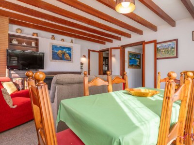 Chalet Villa Xavier - Features photo 16