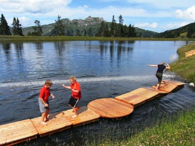 Chalet Chalet in Bad Hofgastein near Ski Lifts - Environment photo 24