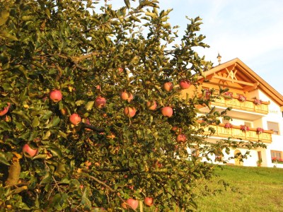 Holiday apartment Panoramic view at Felderhof - Outdoor photo 6