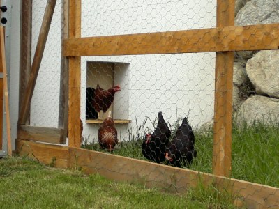 Holiday apartment Panoramic view at Felderhof - Environment photo 20
