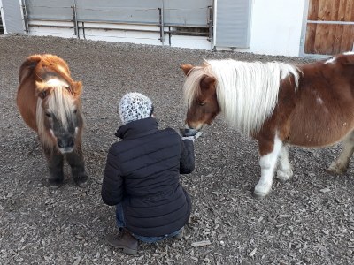 Holiday apartment Panoramic view at Felderhof - Environment photo 23