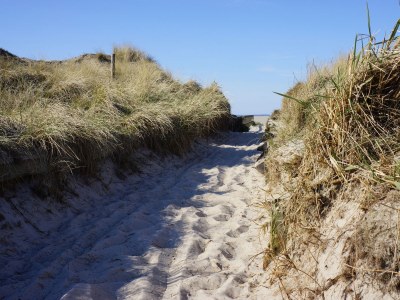 Holiday house At the North Sea 4 - Environment photo 29