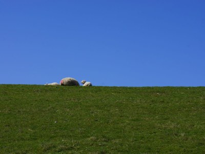 Holiday house At the North Sea 4 - Environment photo 30