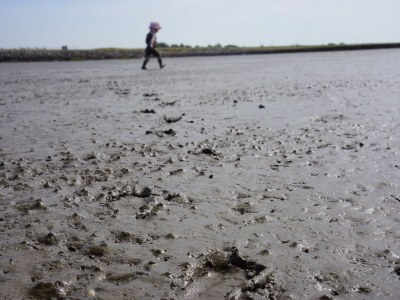 Holiday house At the North Sea 4 - Environment photo 32