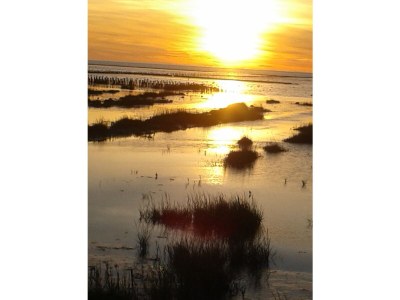 Holiday house At the North Sea 4 - Environment photo 36