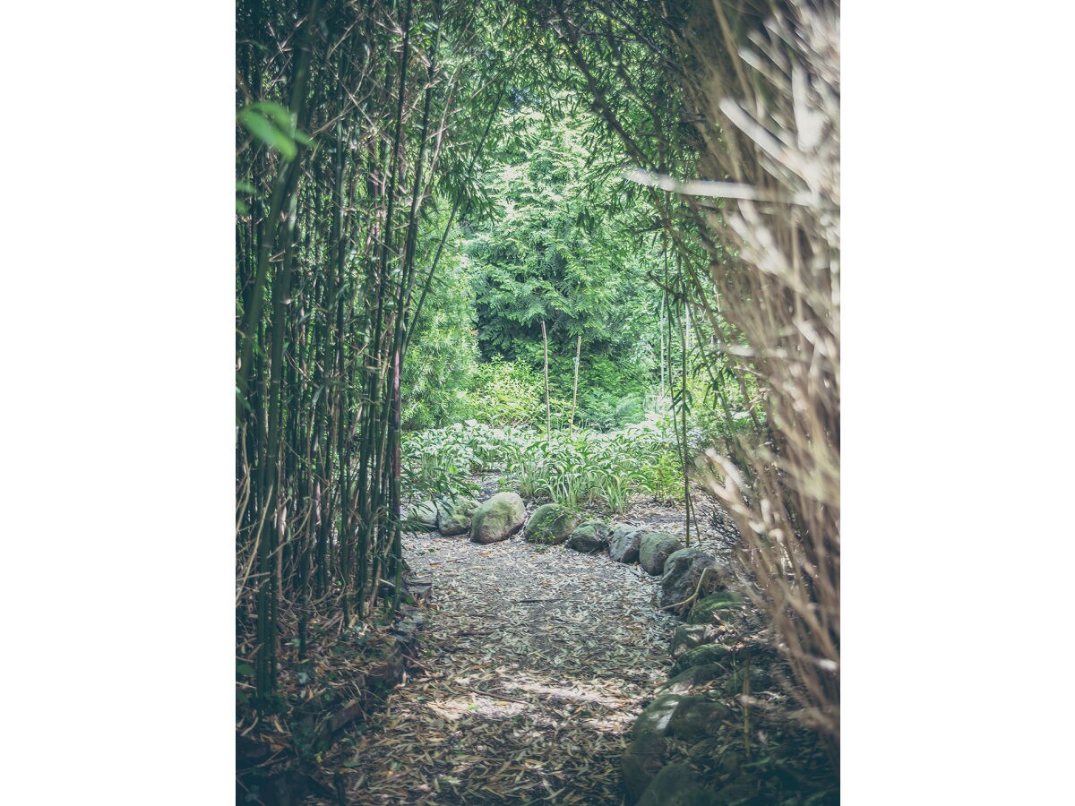 Holiday apartment Witthus 24 - Outdoor photo 5