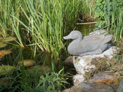 Holiday apartment Witthus 24 - Outdoor photo 8