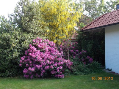 Holiday apartment Witthus 24 - Outdoor photo 9